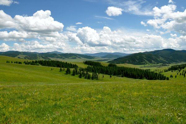 landscape mongolia